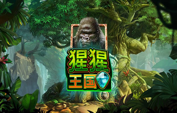 花生碎03: 事物的纹理藏在复杂的路里